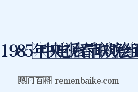 1985年中央电视台春节联欢晚会组词是什么意思的图片